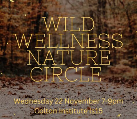 Meet the ‘needle woman’ who is hoping to pin down people for their first foraging experience